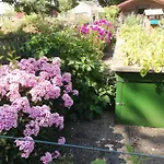 Apartman Einzigartige Naturoase Im Sueden Von Ingolstadt Brautlach