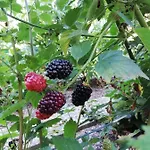 Apartman Einzigartige Naturoase Im Sueden Von Ingolstadt