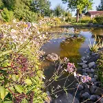 Einzigartige Naturoase Im Sueden Von Ingolstadt * Brautlach