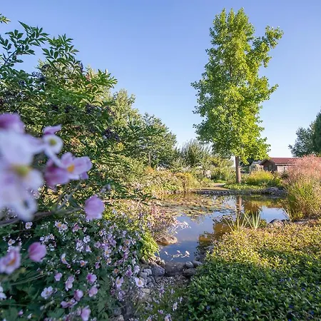 Einzigartige Naturoase Im Sueden Von Ingolstadt * Brautlach